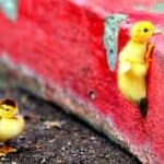 Webinar: starten als zelfstandige - 28/9/2026 - 9u30
