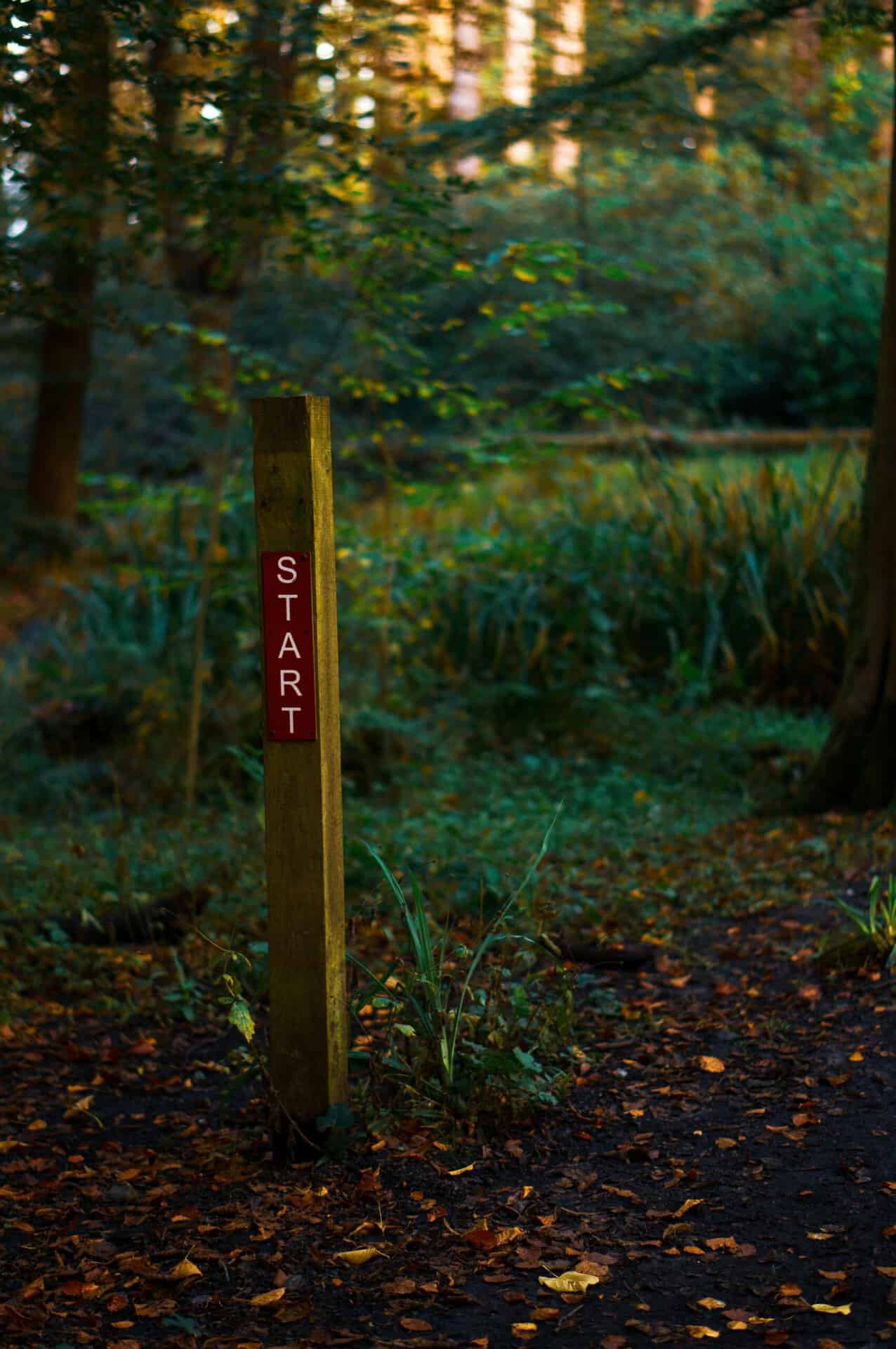 Startmarkering van een wandelpad in het bos